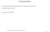 protein structure lectures - zbh.uni-hamburg.de · Protein Struktur •Biologen und Chemiker dürfen mit Handys spielen (leise) •go home, go to sleep •wake up at slide 39 Andrew