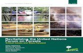 Revitalizing the United Nations - Center for International ... · Revitalizing the United Nations CIFOR’s Forests and Governance Programme Forum on Forests examines how decisions