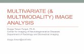 MULTIVARIATE (& MULTIMODALITY) IMAGE ANALYSIS - … · A more complex case ... PCA decorrelates multivariate data, finds useful components, reduces dimensionality. • PCA is only