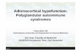 Adrenocortical hypofunction. Polyglandular autoimmune ...semmelweis.hu/belgyogyaszat3/...Polyglandular-autoimmune-syndrome.pdf · Adrenocortical hypofunction. Polyglandular autoimmune