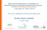 Scale down models - ema.europa.eu · Benefits of using SDM • SDM can be extremely useful even if they do not exactly match large scale performance, provided the differences are