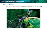 13.3 Energy in Ecosystems - PC\|MACimages.pcmac.org/.../DeSotoCentralHigh/Uploads/Forms/bio_ch13-3.pdf · 13.3 Energy in Ecosystems Producers provide energy for other organisms in