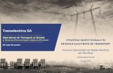 Transelectrica SA - govnet.ro TEL - Strategii... · Turcia • Cablu submarin HVDC (în analiză) Priorităţi strategice pentru S.E.N. • INTERCONECTIVITATE TRANSFRONTALIERĂ Premise: