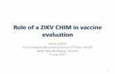 Role of a ZIKV CHIM in vaccine evaluation - who.int · Role of a ZIKV CHIM in vaccine evaluation Anna Durbin Johns Hopkins Bloomberg School of Public Health WHO Zika Workshop, Geneva