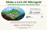 Hawaii Natural Energy Institute, Univ. of Hawaii at Manoa · Hawaii Natural Energy Institute, Univ. of Hawaii at Manoa Grid System Technologies Advanced Research Team Leon R. Roose,
