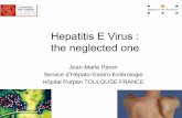 Hepatitis E Virus : the neglected one - APHC · • 1st cause of acute hepatitis • 20 million infections per year, – Over 3 million symptomatic cases, – 56 600 hepatitis E related
