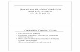 Vaccines Against Varicella Varicella Zoster Virus and ... · transmit virus Herpes Zoster ¥500,000 to 1 million episodes occur annuall in theUnitedStaes ¥Lifetime risk of zoster