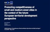 Promoting competitiveness of small and medium-sized cities ... · …a cultural dimension (e.g. diversity) ... Uncertain evolution of co-development strategies with neighbouring countries,