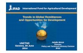 Trends in Global Remittances and Opportunities for Development · 2014 Trends in Global Remittances and Opportunities for Development Adolfo Brizzi Director, Policy and Technical
