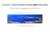AGR - geoarch.free.frgeoarch.free.fr/IMG/pdf/Draft_Agenda.pdf · agr landscape evolution & geoarchaeology 13th belgium-france-italy-romania geomorphological meeting presentations