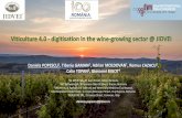 Daniela POPESCU , Tiberiu GAMAN , Adrian MOLDOVAN , Remus ... · Jidvei is the biggest producer in Romania of Protected Designation of Origin (PDO) wines and provides a varied range