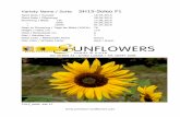 Variety Name / Sorte SH15-Soleo F1 - premium-sunflowers.de · Variety Name / Sorte SH15-Soleo F1 Seed Date / Aussaat 16.04.2015 Plant Date / Pflanzung 28.04.2015 Flowering / Blüte