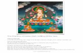 The Practice of Noble Wish-fulﬁlling White Tara · The Practice of Noble Wish-fulﬁlling White Tara ! Taking Refuge I and all sentient beings take refuge in the Buddha, Dharma,