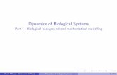 Dynamics of Biological Systems - unipi.itpages.di.unipi.it/milazzo/talks/PartI-IntroBio-MathModelling.pdf · Dynamics of Biological Systems Part I - Biological background and mathematical