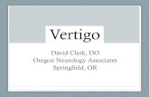 Vertigo - cdn.ymaws.com · Unidirectional Nystagmus . 44F vertigo, nausea & vomiting Impaired VOR Gain to the right . Vertigo • History • Anatomy/Physiology • Horses • Zebras