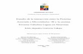 Estudio de la interacción entre la Proteínarepositorio.uchile.cl/tesis/uchile/2008/contreras_e/sources/contreras_e.pdf · Molecular Severo Ochoa, CSIC-UAM, Madrid, Espaæa (3) Laboratorio