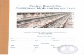  · Model Project Report of Commercial Layer (Chicken) Farm having capacity of around 50,000 Layer birds rearing per year (1:1:5 plan) without Feed production unit with project cost