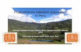 Phytophthorainfestans population in Peru · 08.10.2016 · Adaptive evolution of Phytophthorainfestans on Desiree-Rpi-blb2potato First experiment Second experiment Inoculation date