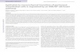 Epithelial-to-mesenchymal transition of peritoneal ... · cytokines. Similarly to treatment with peritonitis effluent, TGF- β1 plus IL-1βinduced a spindled phenotype (Fig. 2A) and