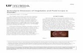 Sclerotinia Diseases of Vegetable and Field Crops in Florida1ufdcimages.uflib.ufl.edu/IR/00/00/34/27/00001/VH01500.pdf · PP22 Sclerotinia Diseases of Vegetable and Field Crops in