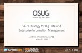 SAP’s Strategy for Big Data and Enterprise Information ... AC Slide Decks Thursday/ASUG83238... · • Big Data focused (tables/views, object storages, any data formats), for both