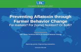 Preventing Aflatoxin through Farmer Behavior Change · Activities 1-4 Activity #2 (FFS) Activity #3 (Kitchen Gardens) Area Cooperative Enterprises PO Clusters Formal, extensive business