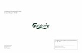 Carlsberg Breweries Group Annual Report 2018 · CARLSBERG BREWERIES GROUP ANNUAL REPORT 2018 MANAGEMENT REVIEW 4 In 2019, we will continue to execute on our SAIL’22 strategic priorities