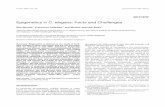 Epigenetics in C. elegans: Facts and Challenges Epigenetics in C. elegans: Facts and Challenges Dirk