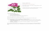 ELEMENTS OF POETRY - fmhsenglish.weebly.com · Poetry is BEAUTY ELEMENTS OF POETRY As a class, review the parts of the flower and their functions Look at the flower, the teacher brings