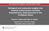 Biological and molecular insights into invasive ...caribaea.org/wordpress/wp-content/uploads/JONES-Susan_presentation_RCW... · Biological and molecular insights into invasive subterranean