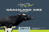 GRASSLAND SIRE - Bova-AIbova-ai.com/wp-content/uploads/2017/02/Bova+Dairy+Sire+Brochure+2017.pdf · GRASSLAND SIRE DIRECTORY . Forge Genetics was established in 2011 as a dairy farmer