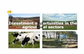 Investment Opportunities in the Agricultural Sector - ICPAK · perishable products. n Horticulture n The horticultural sector is one of the fastest growing sectors in the economy