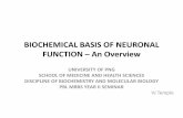 BIOCHEMICAL BASIS OF NEURONAL FUNCTION – An Overviewvictorjtemple.com/PBL Biochemica basis neuronal function PPP 2.pdf · SYNAPTIC TRANSMISSION: Impulse transmission across the