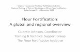 Flour Fortification: A global and regional overview · Fortifying with at least iron and/or folic acid Flour Fortification Progress. 10 Flour Fortification Progress Since 2004: 2
