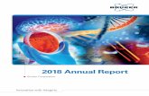2018 Annual Report - s22.q4cdn.com · be found at the end of this 2018 Annual Report. With respect to the Company’s outlook for 2019 non-GAAP operating margin and non-GAAP EPS,