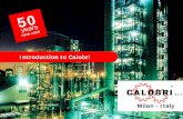 Introduction to Calobri - ABZ, Calobri, FlouroSeal ...aandlvalve.com/v2/forged-steel-valve/forged-steel-valve-brochure.pdf · CALOBRI 2002 19 Valve Manufacturing Calobri has a capacity