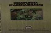 PAKSHAGHATAI Erand CENTRAL COUNCIL FOR RESEARCH IN ...ccras.nic.in/sites/default/files/II Ayurveda Day/English/Hemaplegia.pdf · Management of Hemiplegia by Panchakarma therapy, Central