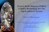 Track-Risk-Impact-Policy (TRIP) Modeling for the ...icciafes.searcabackup.org/downloads/presentation/Parallel Session 4B...Glenn S. Banaguas. Track-Risk-Impact-Policy (TRIP) Modeling
