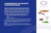 Carbohydrate Counting 6pgs 6641r6j · SAMPLE CARBOHYDRATE LIST4 BREADS FOOD SERVING SIZE CARBS White or wheat bread 2 slices (2 oz) 25-30g Hotdog or hamburger bun 1 whole (2 oz) 25g