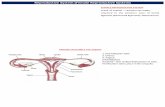 Reproductive System (Female Reproductive System) Reproductive System.pdf-99.pdf · Reproductive System (Female Reproductive System) GMdus FEMALE REPRODUCTIVE SYSTEM . äxíienafl