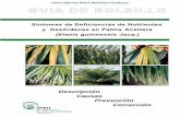 International Plant Nutrition Institute GUIA DE BBOLSILLOnla.ipni.net/ipniweb/region/nla.nsf/e0f085ed5f091b1b852579000057902e... · University Press, Kuala Lumpur, 280 pp. 5 International