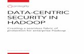 DATA-CENTRIC SECURITY IN HADOOP - Amazon S3 · Data-Centric Security in Hadoop | White Paper 2 . Introduction. Leading companies in nearly every industry are using data as an essential
