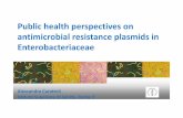 Public health perspectives on antimicrobial resistance ... · antimicrobial resistance plasmids in Enterobacteriaceae. Molecular epidemiology of antimicrobial resistance: the targets