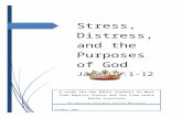Stress, Distress, and the Purposes of Goddoctrinepastor.com/.../docs/stress_distress...God_seminar_ok.8012…  · Web viewIn common usage, the word “stress” is used for any emotional