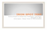 IRON SPOT TEST - IMP-Indiaimp-india.com/wp-content/uploads/2016/12/Iron-spot-test.pdf · AACC Method 40-40 This method, approved by the AACC, is applicable for only qualitative determinations