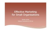 Effective Marketing for Small Organisation · The Marketing Mix or 4 P’s. Thinking analytically about marketing Group/ customer Marketing Mix/4 P’s Effective tools for promotion