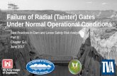 Failure of Radial (Tainter) Gates Under Normal Operational ... · –Inadequate greasing = excessive trunnion friction = additional moment forces. Design –Original calculations