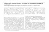 Isolation characterization of fibronectin-a1-microglobulin ... · Biochem. J. (1994) 301, 745-751 (Printed in Great Britain) Isolation and characterization of fibronectin-a1-microglobulin