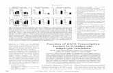 Function of GATA Transcription Factors in Preadipocyte ... · Function of GATA Transcription Factors in Preadipocyte-Adipocyte Transition Qiang Tong, Go‹khan Dalgin, Haiyan Xu,