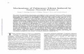 Mechanisms of Pulmonary Edema Induced by TumorNecrosis ... filedata indicate that TNF induces neutrophil-dependent pulmonary edema associated with increased Pp, (mediatedbyTXA2andPAF),increasedKtc